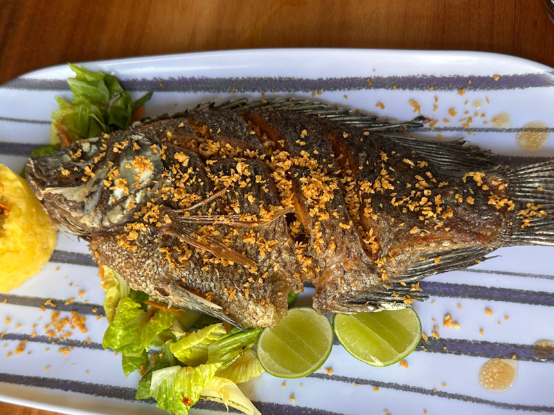 Mojarra Mediana